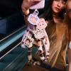 imagePOP MART CRYBABY Wild but Cutie SeriesPhone Charm Blind Box